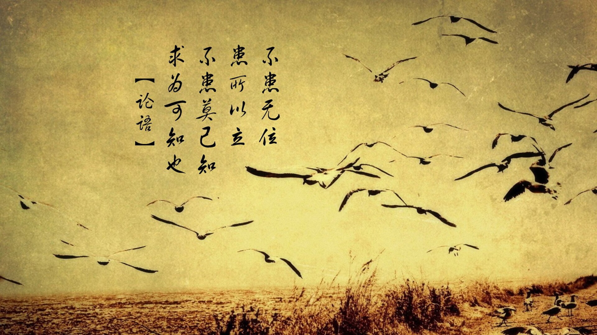 开云体育官方网站-_国际沙滩排球赛:夏日沙滩的激情碰撞_,沙滩排球赛视频