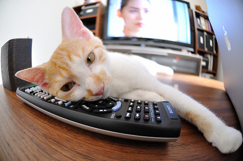 开云官方-_城市国家运动会:推动全民健身的理想平台_,全国城市运动会一共办了几届