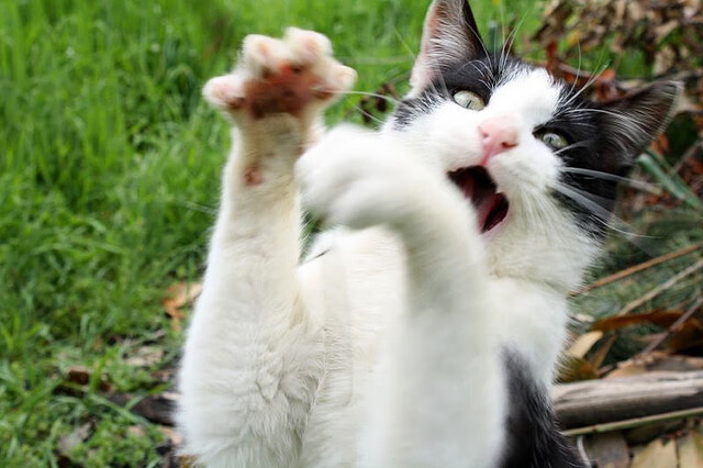 开云体育网址-_纳达尔逆转夺冠，温布尔登再现伟大时刻_，纳达尔几个温网冠军