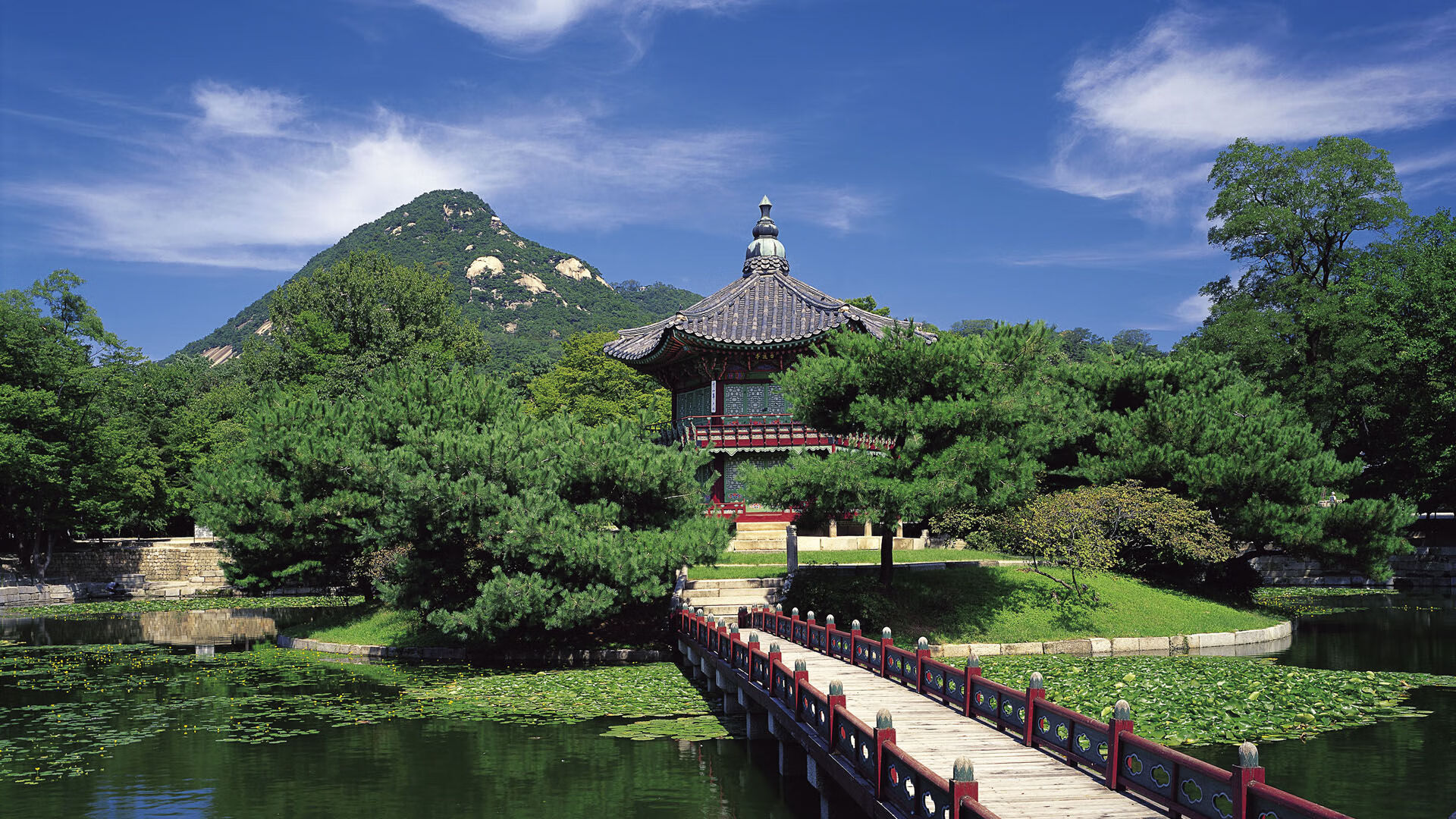 开云体育网址-“足球产业链融资不断扩大，行业充满潜力”，足球产业相关上市公司