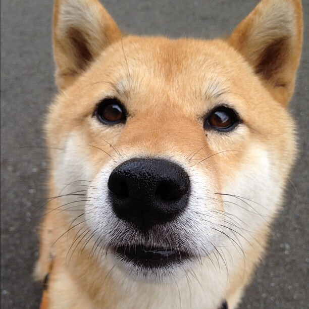 kaiyun-巴西男足在预选赛中仅获3分，排名第三，巴西男足国家队名单最新