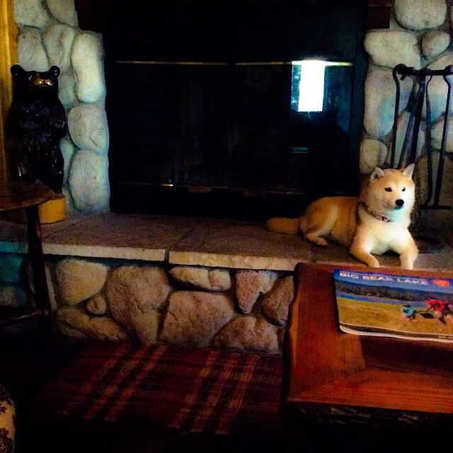 开云体育APP下载-法拉利车队在摩纳哥大奖赛中夺冠,法拉利车队在摩纳哥大奖赛中夺冠视频