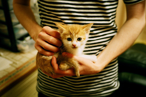 开云体育下载官网-凯撒酋长与欧洲俱乐部达成友谊赛协议，足坛 凯撒