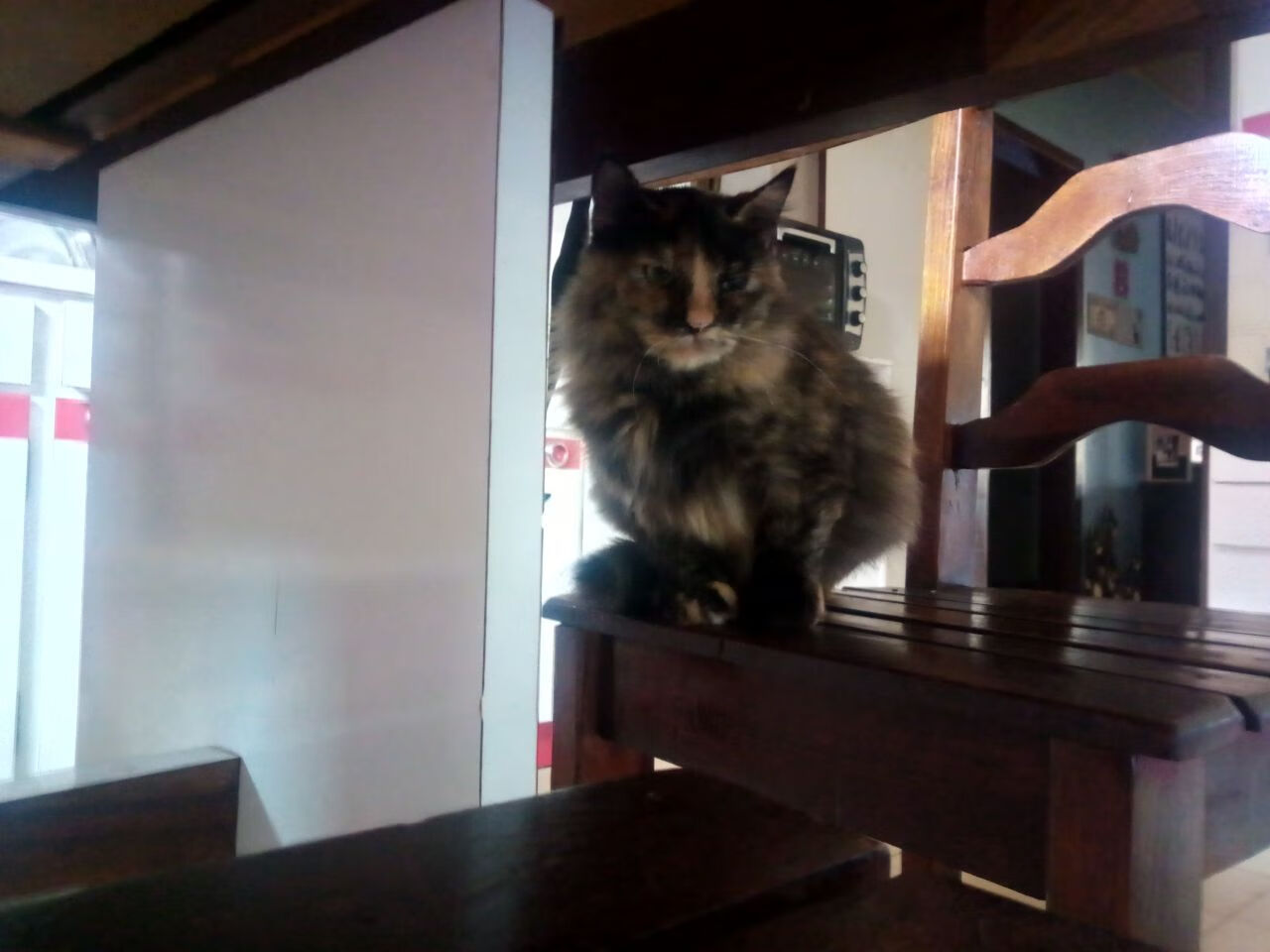 开云娱乐app安全登录-巴黎圣日耳曼再度夺冠,欧冠冠军梦想加速实现!,巴黎圣日耳曼再度夺冠,欧冠冠军梦想加速实现了吗