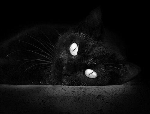 开云体育客户端-中国篮球青训体系课程改革与实践探索，中国篮球青训队大名单