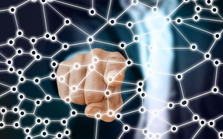 开云体育下载网址-中国足球青训梯队人员年龄层结构，足球青训年龄段