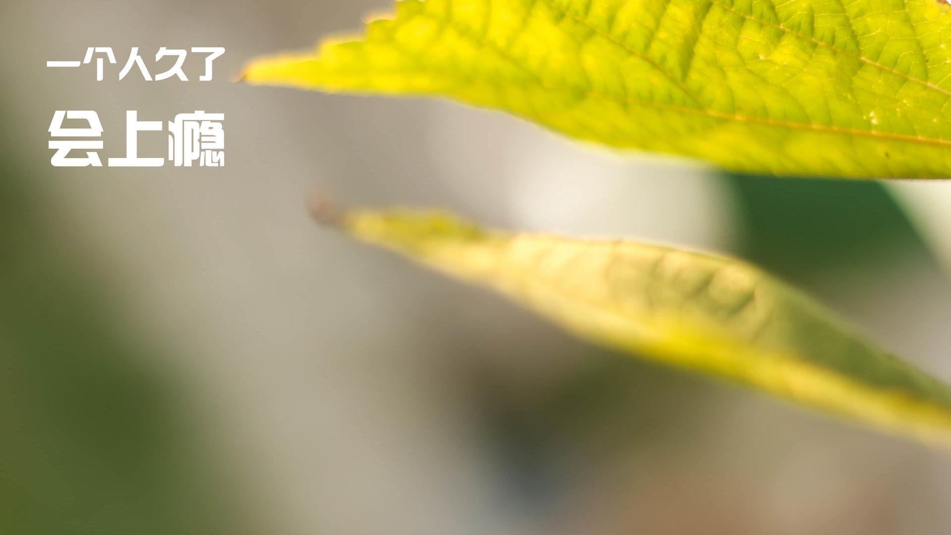 下载开云-中国男篮注重终结环节的连续性训练，中国男篮训练计划